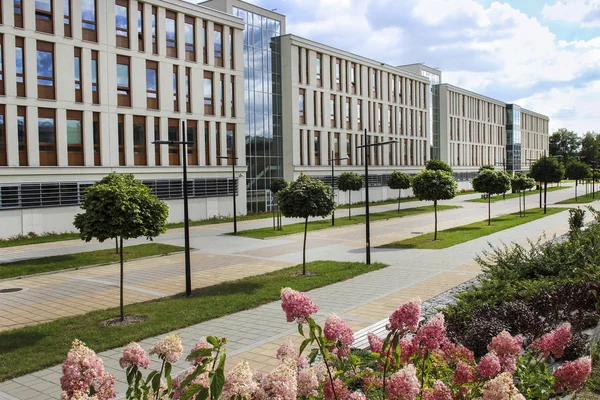 A Jagelló Egyetem. Egyetem, Krakkó, Krakkó academ — Stock Fotó