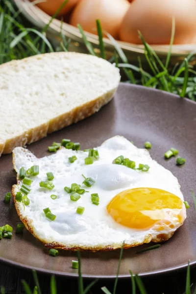 Frukost på gräset. stekt ägg på brun tallrik — Stockfoto