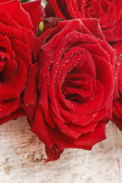 Atemberaubende Rosen auf Holzgrund. Kopierraum — Stockfoto