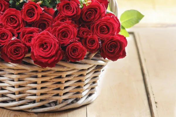 Basket of roses — Stock Photo, Image