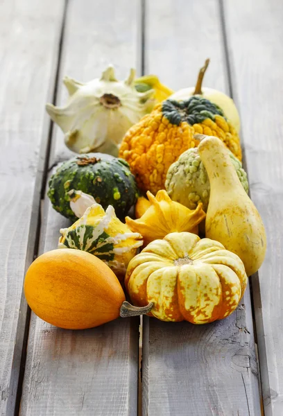 Colorful pumpkins on wooden table. Grass in the background — Stock Photo, Image