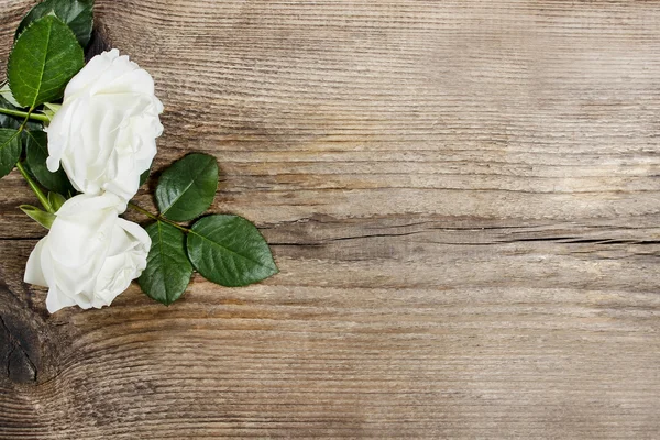 Rosas brancas em fundo de madeira. Foco seletivo, espaço de cópia — Fotografia de Stock