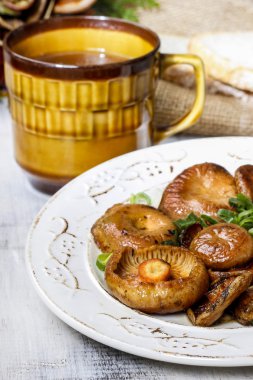 Safran süt cap mantar