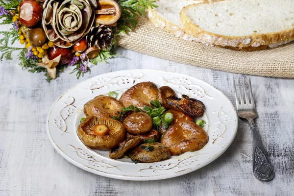 사프란 우유 모자 버섯 — 스톡 사진