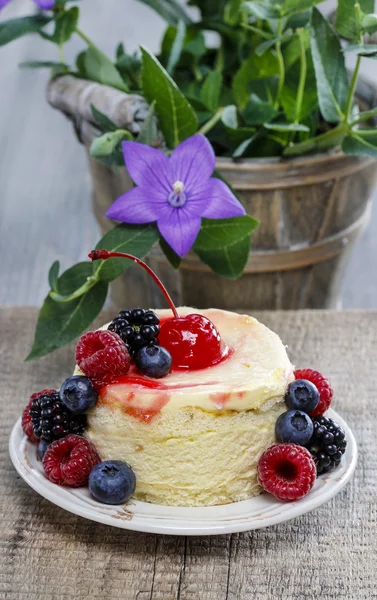 Round cake with fresh fruits — Zdjęcie stockowe