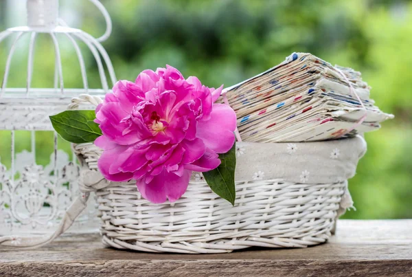 Ενιαία ροζ παιωνία λουλούδι και το σωρό γράμματα σε άσπρη ψάθινη bas — Φωτογραφία Αρχείου