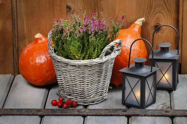 Red heather in wicker basket, pumpkins and lanterns on wood — Stock Photo, Image