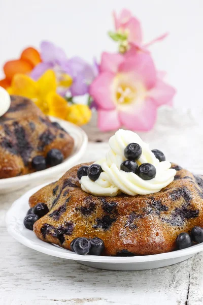 Delicious cake with blueberries, decorated with cream and fresh — Stock Photo, Image