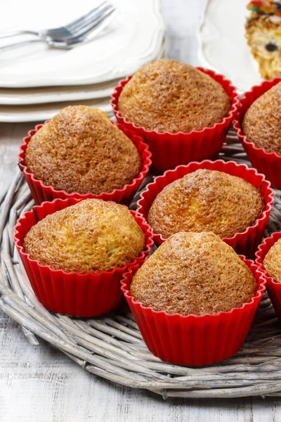 Muffins antes de decorar —  Fotos de Stock