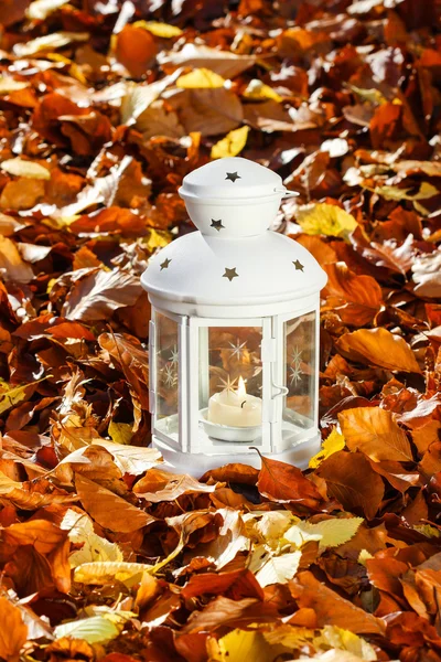 White lantern on autumn leaves — Stock Photo, Image