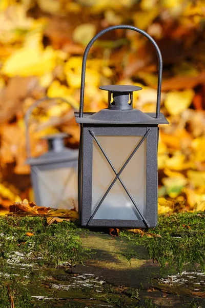 Black lantern in autumn forest — Stock Photo, Image