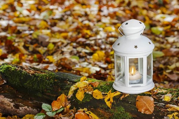 Красивый фонарь в осеннем лесу — стоковое фото