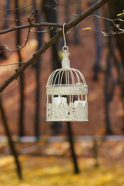 Beautiful bird cage in autumn forest — Stock Photo, Image