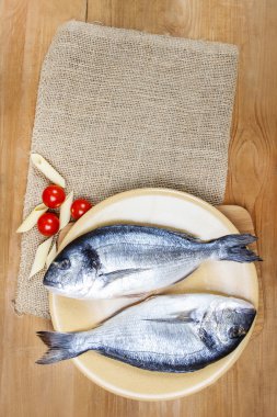 yaldızlı kafa çipura balığı ahşap zemin üzerinde. Akdeniz lokali,