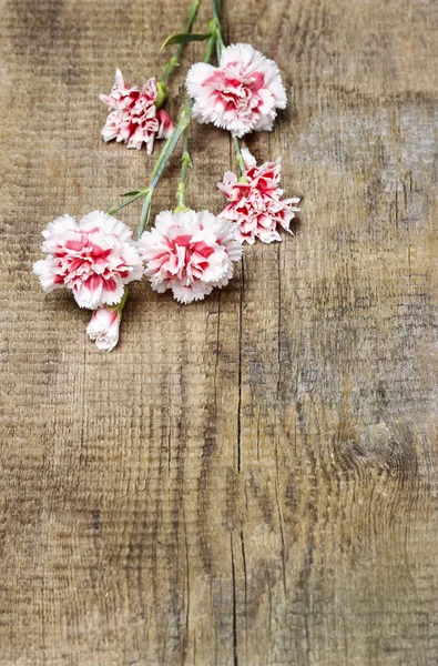 红色和白色康乃馨孤立的棕色木制背景 — 图库照片