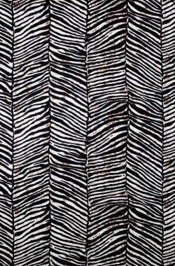 zebra deseni