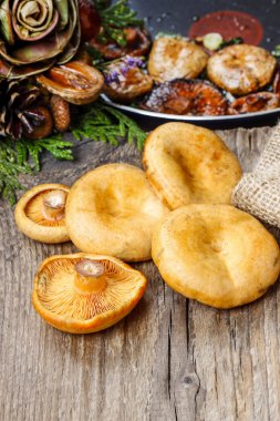 Safran süt cap mantar ahşap tablo