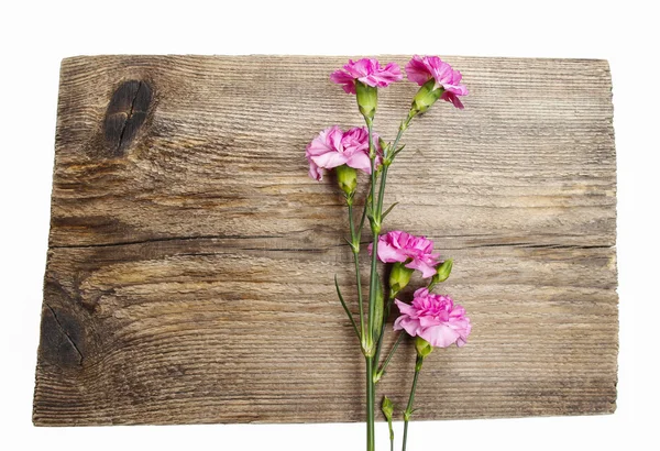 木制的背景上孤立朵粉红色的康乃馨。图形元素 — 图库照片