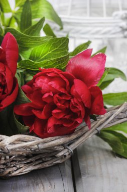 ahşap masa üstünde gri sepet içinde kırmızı peonies