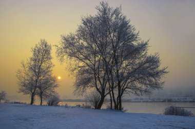 ağaçlar frost ile kaplı. Kış günbatımı, donmuş nehir, Puslu sce