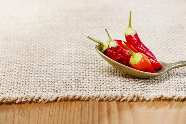 Rote Chilischoten in einem Löffel. Hessischer Hintergrund, Kopierraum — Stockfoto