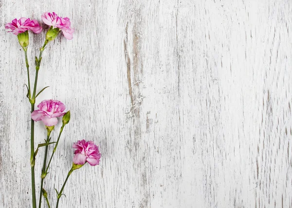 Clavel rosa aislado sobre fondo de madera — Foto de Stock