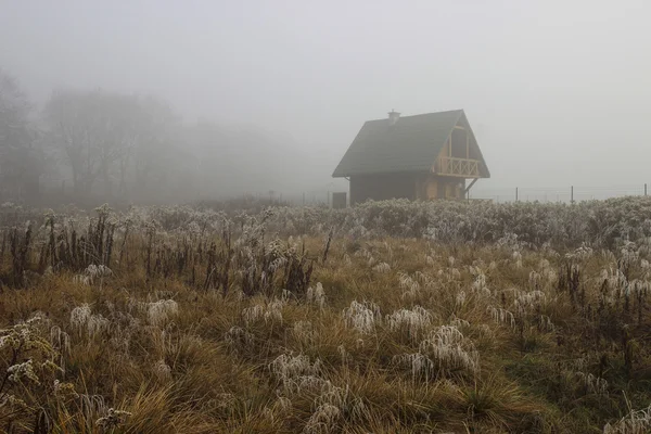 Single wooden hut on misty morning. Atmosphere of secret — Stock Photo, Image