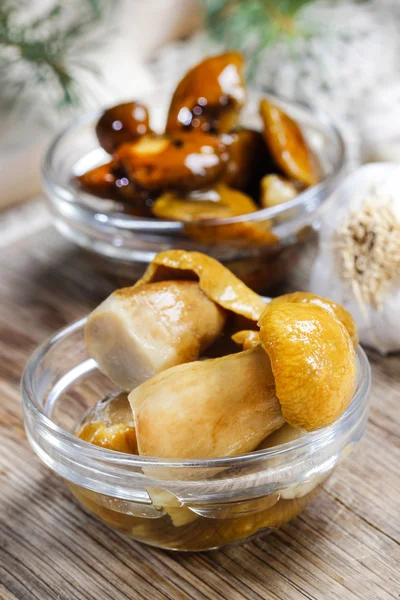 Champignons marinés dans un bol en verre transparent — Photo