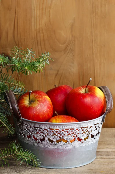 Silver bucket of red apples on wooden table. Fir branches — Stock Photo, Image