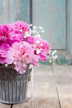 çarpıcı pembe peonies gümüş kova