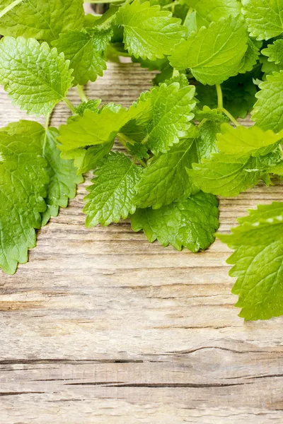 Melissa (lemon balm) leaves on wooden table — Stock Photo, Image