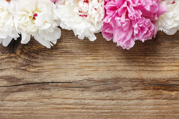 Prachtige roze pioenrozen, gele anjers en rozen — Stockfoto