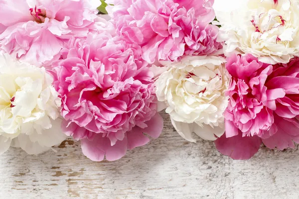 Çarpıcı pembe peonies, sarı karanfil ve güller — Stok fotoğraf