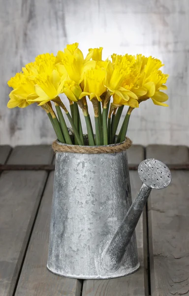 Daffodils in silver watering can on grey wooden table — Stock Photo, Image