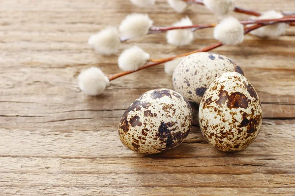 Quail eggs and catkins on rustic wooden table — Stock Photo, Image