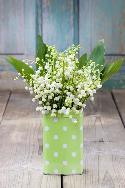 Blumenstrauß der Maiglöckchen in grün gepunkteter Dose — Stockfoto