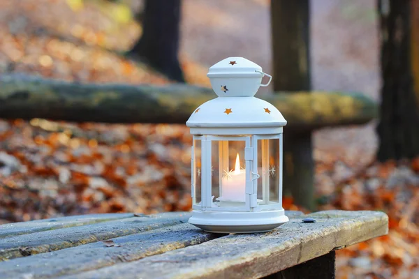 Beautiful lantern on wooden table in autumn forest — Stock Photo, Image