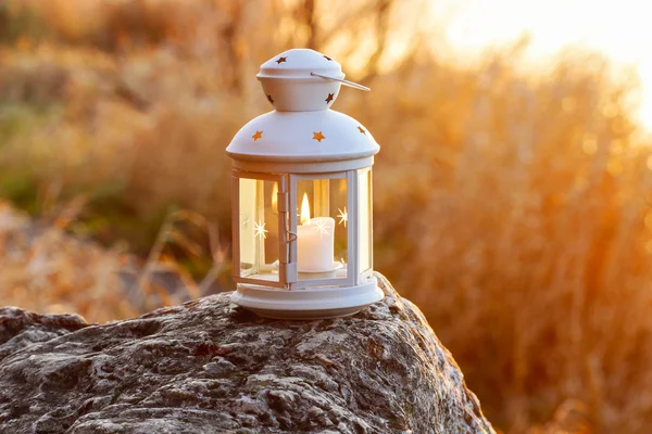 Beautiful lantern on wooden table in autumn forest — Stock Photo, Image