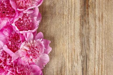 rustik kahverengi ahşap zemin üzerinde çarpıcı pembe peonies