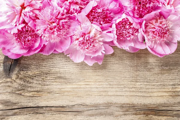 Impresionantes peonías rosadas sobre fondo rústico de madera marrón. Copiar sp — Foto de Stock