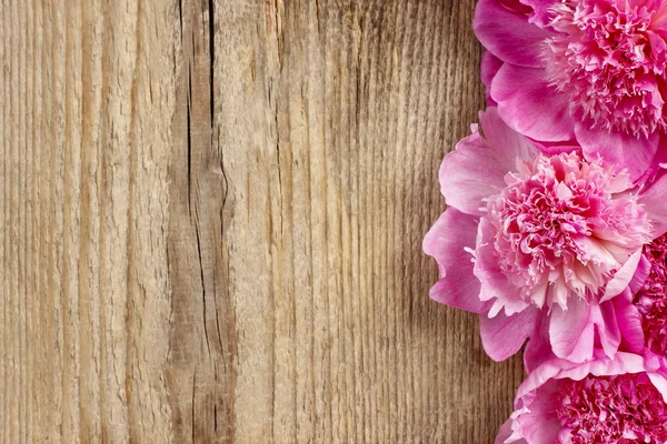 Prachtige roze pioenrozen op rustiek bruin houten achtergrond — Stockfoto