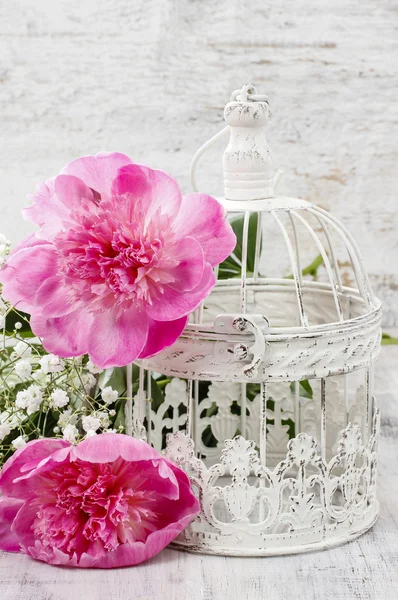 Pink peonies on white vintage birdcage. Copy space — Stock Photo, Image