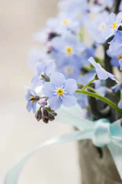 Strauß von Vergissmeinnicht-Blumen — Stockfoto