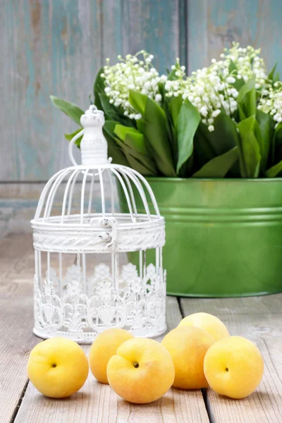 Aprikosen auf Holztisch. schöner alter Vogelkäfig und Eimer — Stockfoto