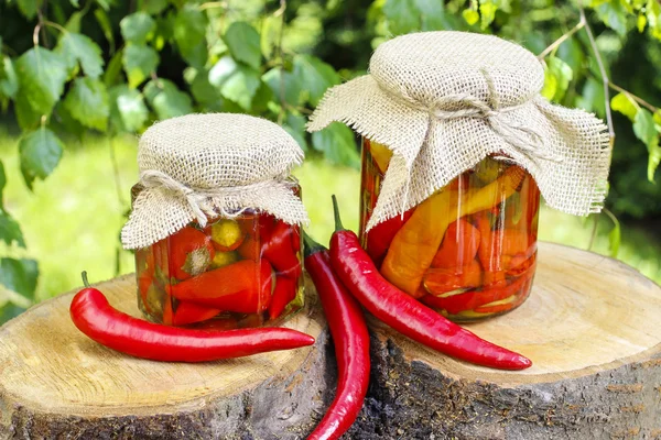 Peperoni rossi sottaceto — Foto Stock