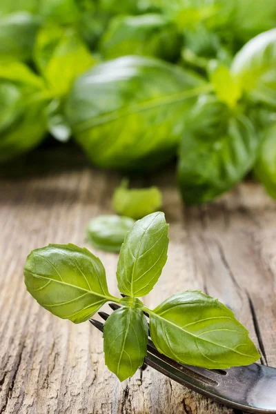 Basil leaves isolated on wooden background — Stock Photo, Image