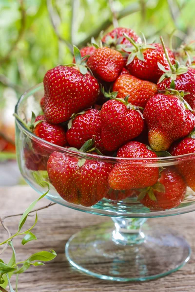 Frische reife Erdbeeren in Glasschale — Stockfoto