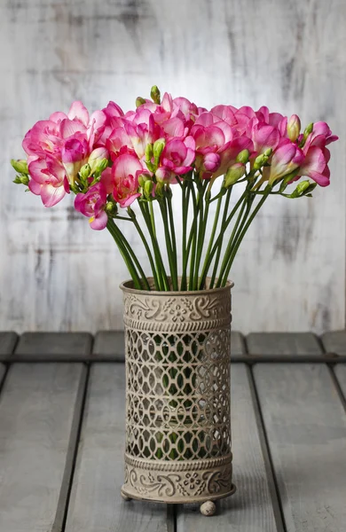 Pink freesia flowers in vintage — Stock Photo, Image