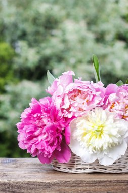 Rustik ahşap üzerinde beyaz hasır sepet içinde çarpıcı peonies ben masa