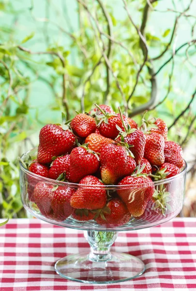 Fresh ripe strawberries in glass bowl — Stock Photo, Image